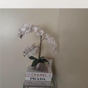 Books for decor brand new